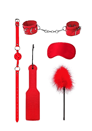 Набор для бондажа Introductory Bondage Kit #4