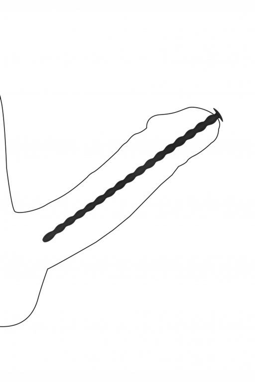 Набор из четырех стимуляторов уретры (струн) Silicone Spiral Screw Plug Set - Advanced